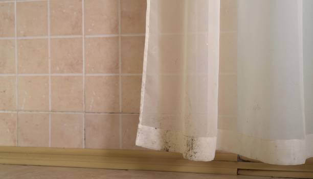 Best Mold Removal for HVAC Installations  in Lake City, GA