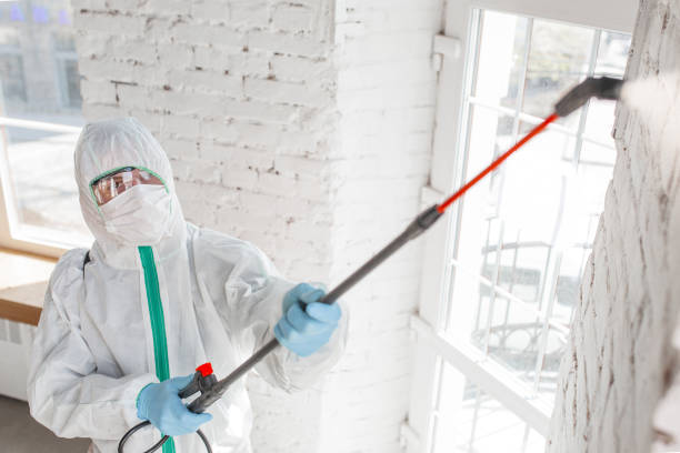 Best Mold Documentation for Insurance Claims  in Lake City, GA