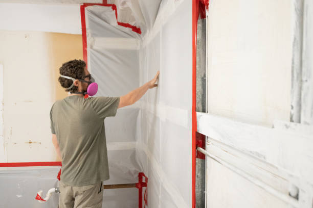 Best Commercial Mold Inspection  in Lake City, GA