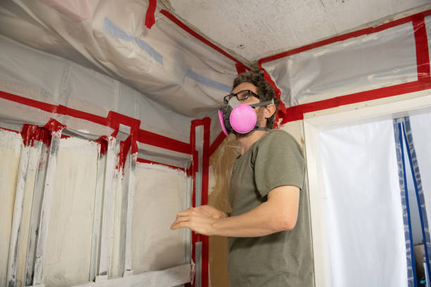  Lake City, GA Mold Removal Pros