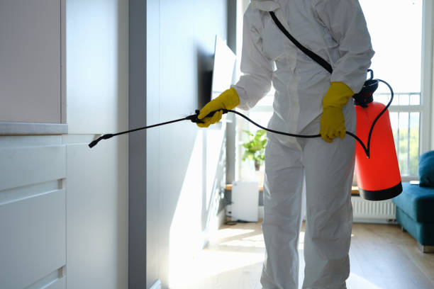 Best Mold Odor Removal Services  in Lake City, GA