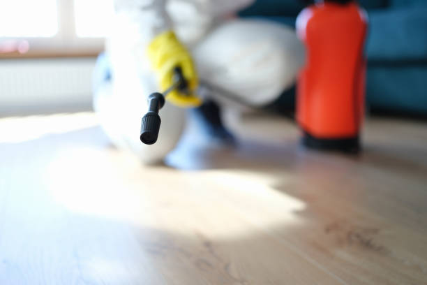 Best Residential Mold Inspection & Testing  in Lake City, GA