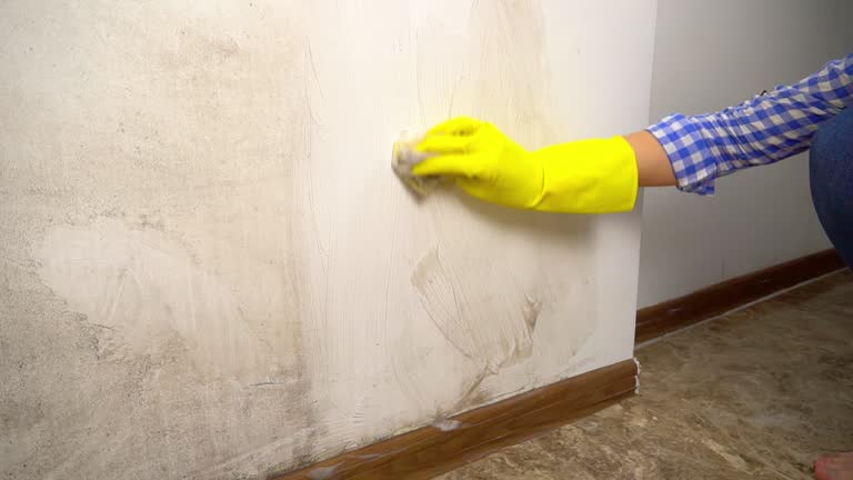 Best Forensic Mold Investigation  in Lake City, GA