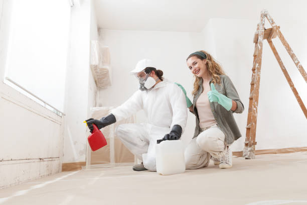 Trusted Lake City, GA Mold Removal Experts
